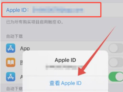 强制删除苹果订阅记录第3步