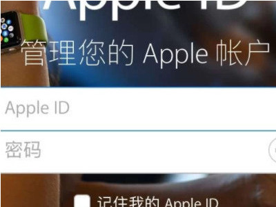 苹果ld密码忘了怎么查找第1步
