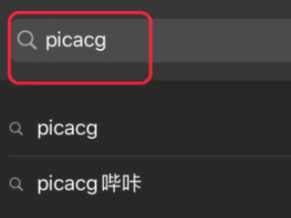 ios怎么下载picacg第2步