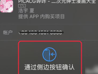 ios怎么下载picacg第4步