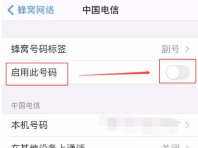 苹果双卡怎么关闭一个第4步