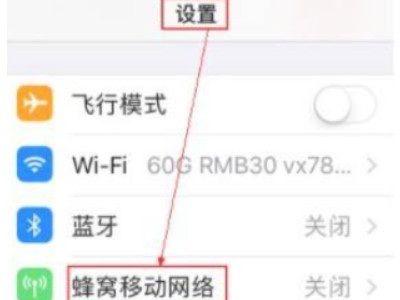 苹果apn设置在哪儿第1步