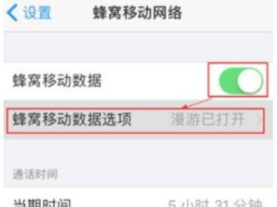 苹果apn设置在哪儿第2步