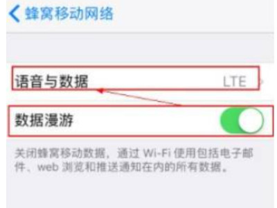 苹果apn设置在哪儿第3步
