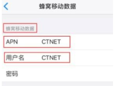 苹果apn设置在哪儿第5步
