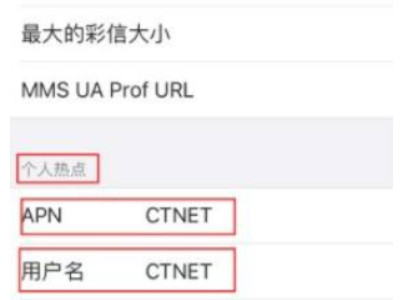 苹果apn设置在哪儿第6步