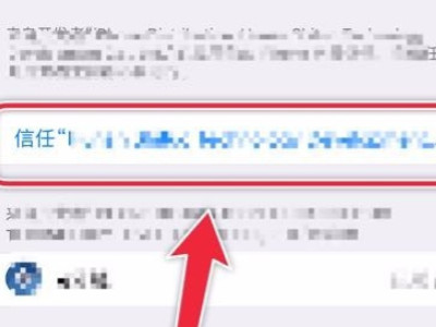 苹果授信如何设置第4步