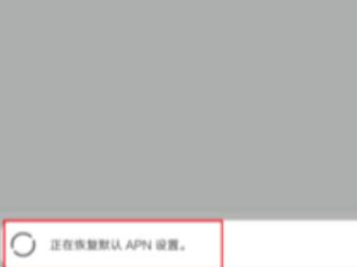 红米手机开了数据不能上网第4步