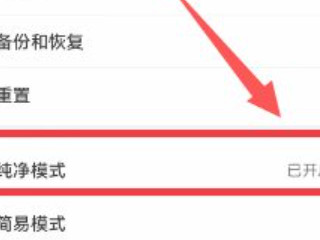 华为怎么关闭纯净模式第3步