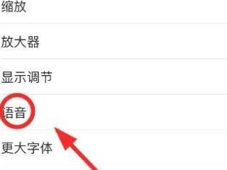 iphone12按键音关闭还有声音第4步