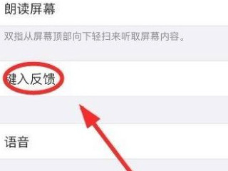 iphone12按键音关闭还有声音第5步