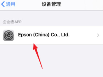 ios14.6设备管理信任不见了第3步
