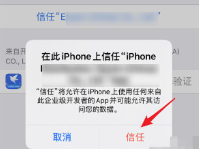ios14.6设备管理信任不见了第5步