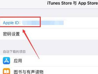 ipad如何退出id账号第3步