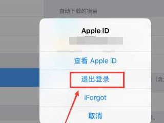 ipad如何退出id账号第4步