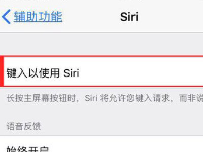 我的siri怎么不会说话第5步