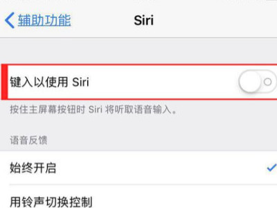 我的siri怎么不会说话第6步