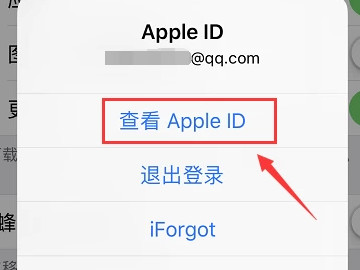 ios怎么关闭自动续费第4步