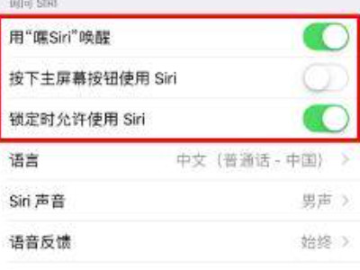 苹果12siri唤醒不了怎么回事第4步