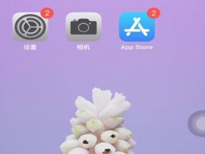 苹果怎么设置自拍不反第1步