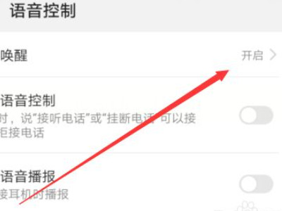 oppo手机智能语音机器人怎么打开第5步