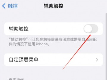 苹果手机怎么弄出小圆球第4步