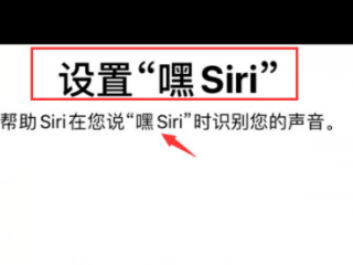 对着iphone说嘿siri录不进第5步