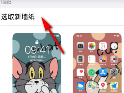 iphone动态壁纸怎么自动播放 无需按压第3步