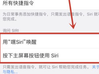 苹果手机语音控制老是弹出怎么办第4步