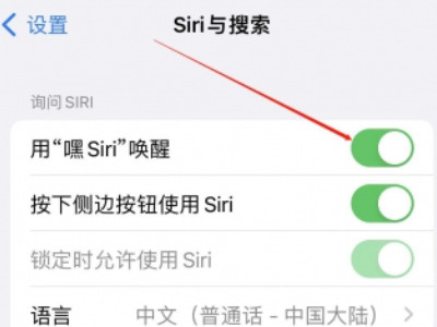 siri是只能主人喊出来吗第3步