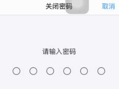 苹果手机强制解除锁屏密码第3步