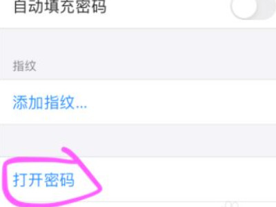 苹果手机强制解除锁屏密码第4步