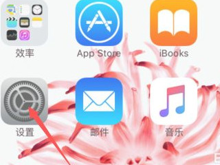 苹果左上角搜索怎么取消第5步