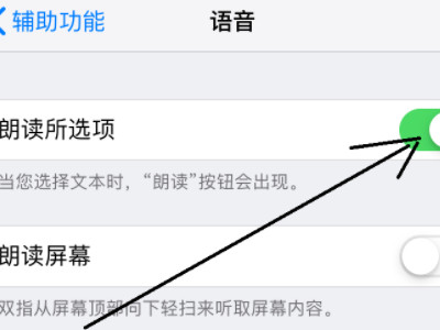 苹果x备忘录怎么没有朗读第5步