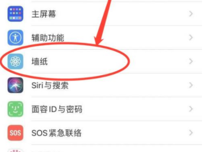 苹果怎么设置动态壁纸不用按就播放第1步