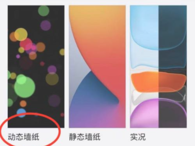 苹果怎么设置动态壁纸不用按就播放第3步