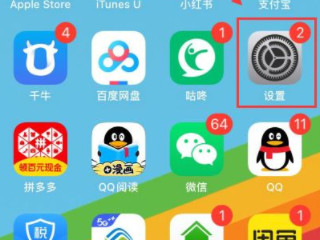 苹果怎么设置不用手按的动态壁纸第1步