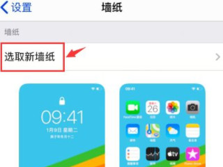 苹果怎么设置不用手按的动态壁纸第3步