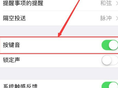 苹果手机键盘声音怎么关第3步