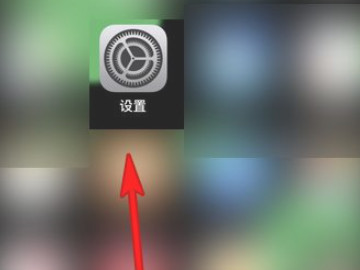 苹果手机如何查看本机号码第1步