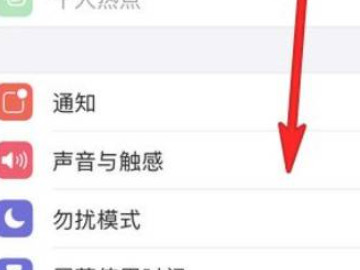 iphone12相机设置怎么调第2步