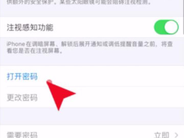 苹果屏幕密码在哪里设置方法第3步