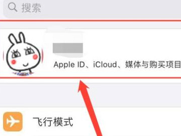 苹果黑胶vip自动续费怎么关闭第1步