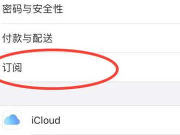 苹果黑胶vip自动续费怎么关闭第2步