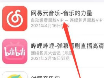 苹果黑胶vip自动续费怎么关闭第3步