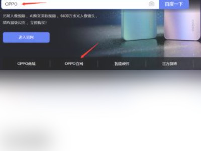 oppo云服务密码第1步