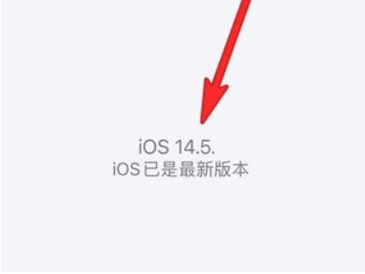 ios14.5戴口罩面部识别第4步