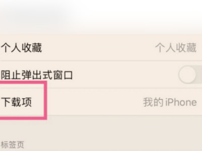 苹果手机网页下载的文件在哪里找第3步