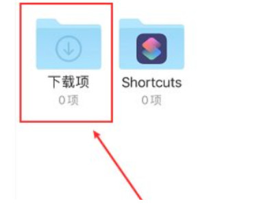 苹果网页下载的文件在哪里第6步