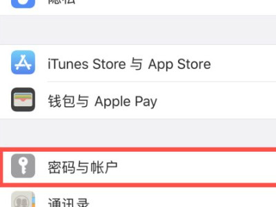 苹果储存密码在哪里查看第2步